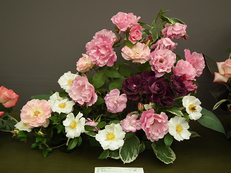 DSCF0758