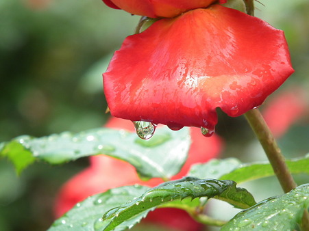 DSCF0064