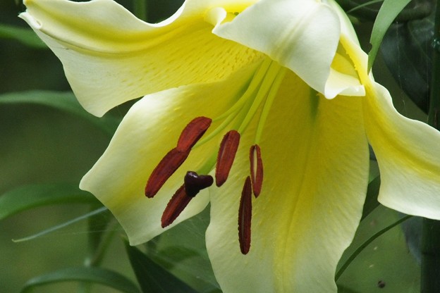 DSCF0165