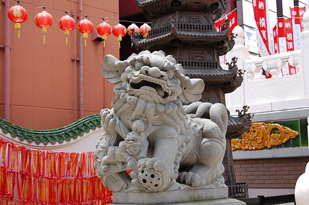 横濱媽祖廟の狛犬