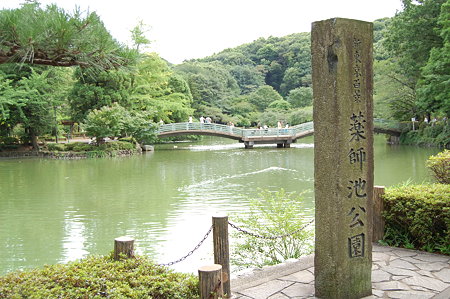町田　薬師池公園