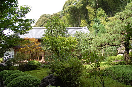 鈴虫寺のお庭