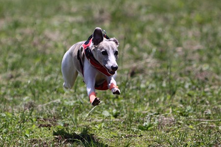 IMG_8031