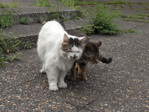 Photos: R0018659