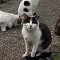 Photos: R0018668