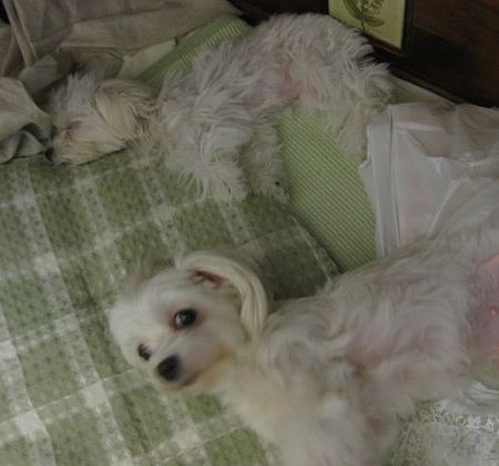 狭いところで無理して寝てます