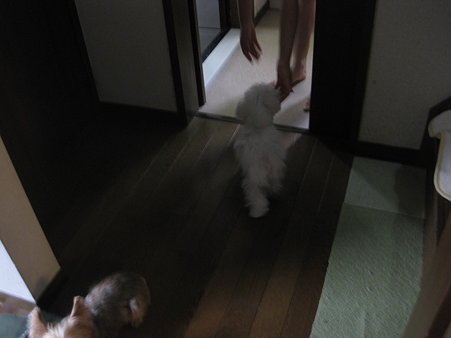 わぁ~い!み~つけた♪