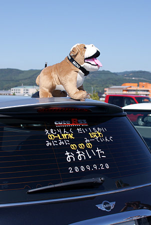アイドル犬？