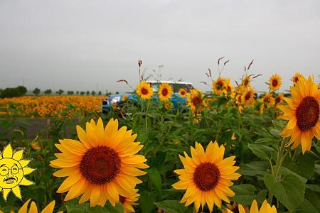 IMG_2342