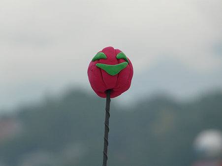 P1080841