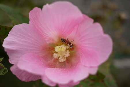 ISO100_F1.7_SS3000_EV0_WB-Cloud