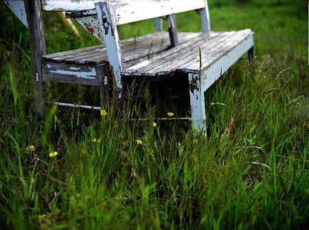 Image0010（Mamiya M645 1000S）