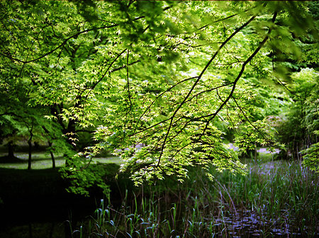 Image0005（Mamiya M645 1000S）