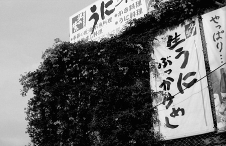 Image0795(OLYMPUS 35 SP)