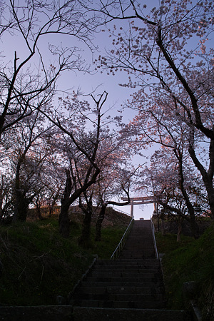 SDIM0896