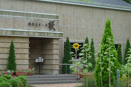 P1000234