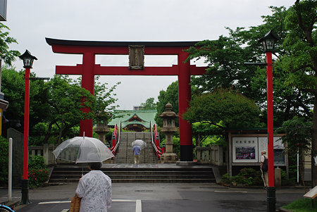 IMGP5978