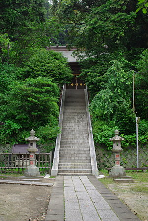 IMGP7451