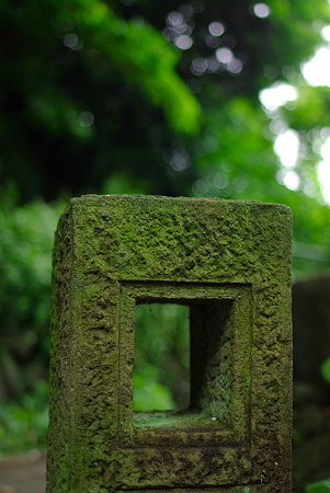 IMGP7461