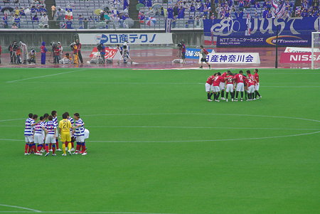 IMGP8113