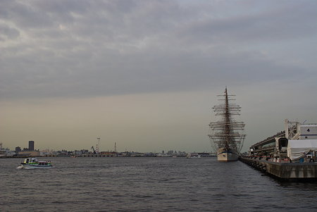 IMGP1324