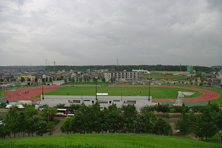 IMGP3021