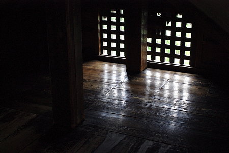 IMGP3253