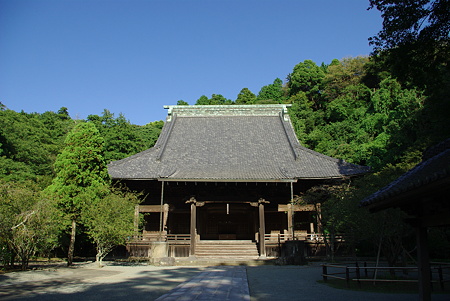 IMGP5371