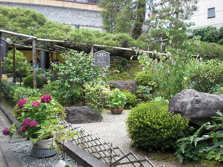中村藤吉本店　お庭