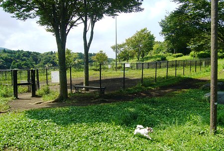 P1050356