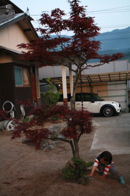お家とmini