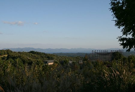 IMG_6498