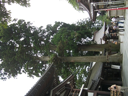 妙見山090815 008
