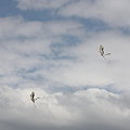 Photos: IMG_5457