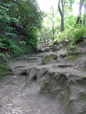 090612-化粧坂 (11)