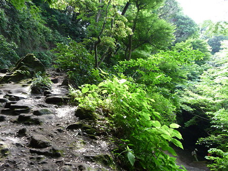 090612-化粧坂 (7)