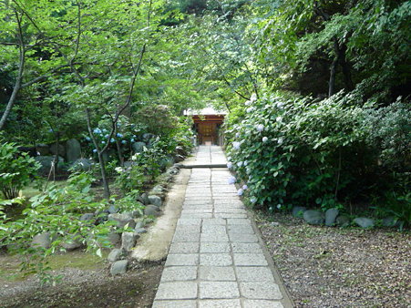 090612-源氏山・葛原が丘 (7)