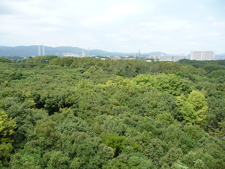 090830-ソラード (52)
