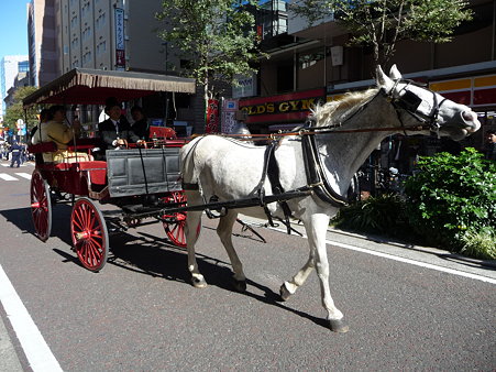 091103-馬車道 馬車 (4)