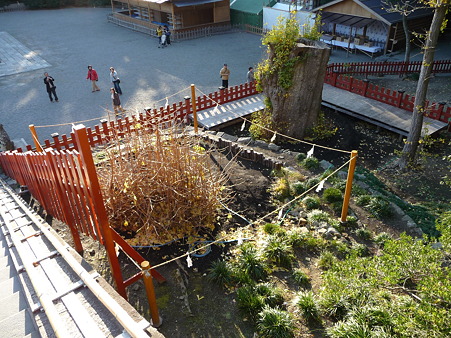 101210-八幡さま (10)
