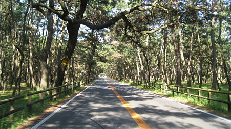 matubara