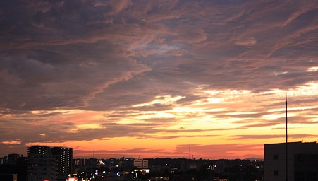 IMG_2123