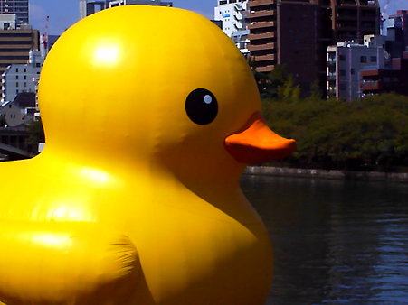 Rubber Duck Project 2009