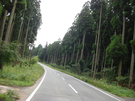 花粉の季節は遠慮しなきゃ?