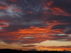 夕日9