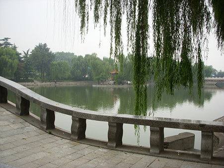 陝西賓館 庭園　池