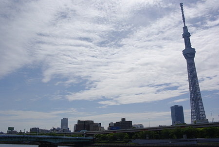 墨田川より