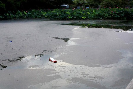 2009.8.20 001