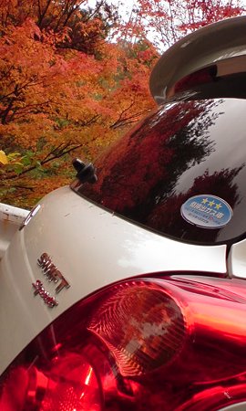 ウィンドウに映り込む紅葉・・・