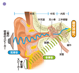 5c4b8720-ca37-4307-81b9-7ebc8d8a37c2